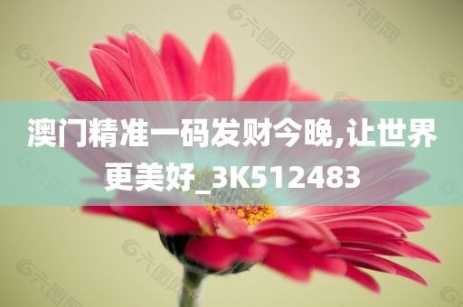 澳门精准一码发财今晚,让世界更美好_3K512483