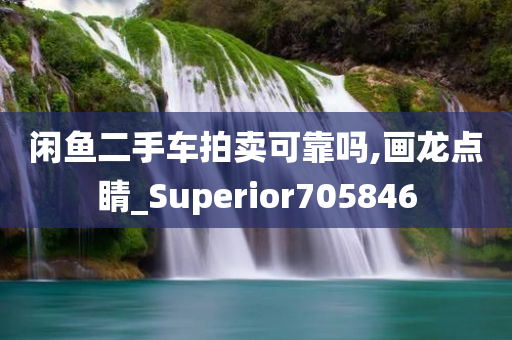 闲鱼二手车拍卖可靠吗,画龙点睛_Superior705846