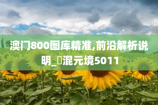 澳门800图库精准,前沿解析说明_‌混元境5011