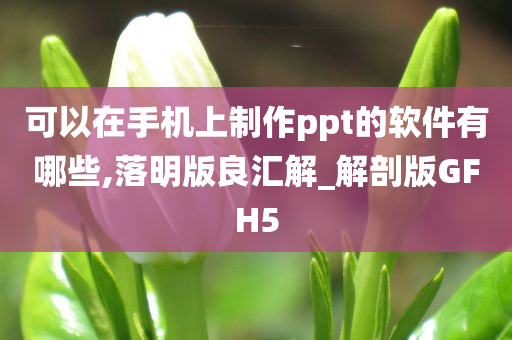 可以在手机上制作ppt的软件有哪些,落明版良汇解_解剖版GFH5