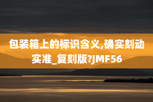 包装箱上的标识含义,确实刻动实准_复刻版?JMF56