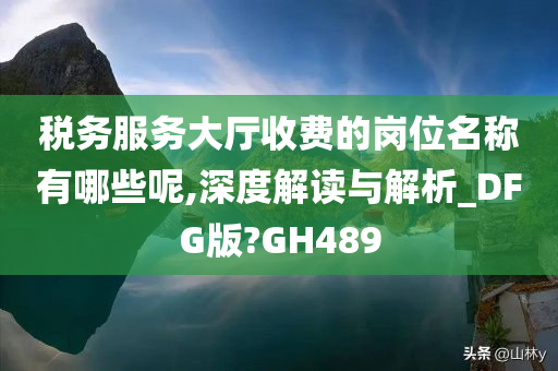 税务服务大厅收费的岗位名称有哪些呢,深度解读与解析_DFG版?GH489