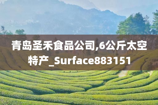 青岛圣禾食品公司,6公斤太空特产_Surface883151