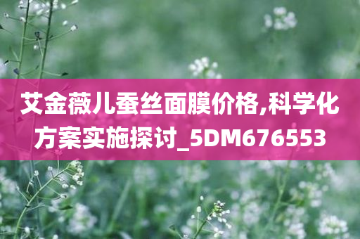 艾金薇儿蚕丝面膜价格,科学化方案实施探讨_5DM676553