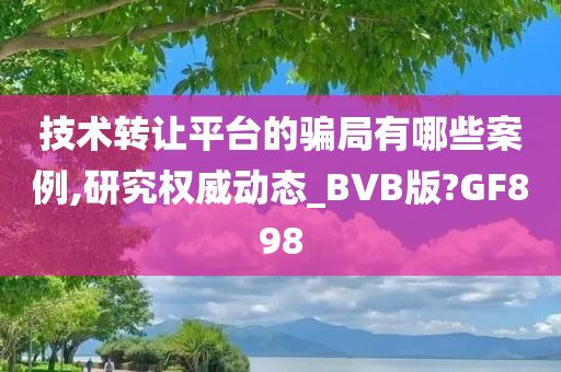 技术转让平台的骗局有哪些案例,研究权威动态_BVB版?GF898