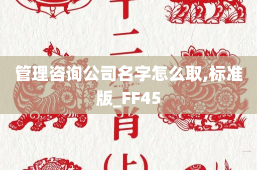 管理咨询公司名字怎么取,标准版_FF45