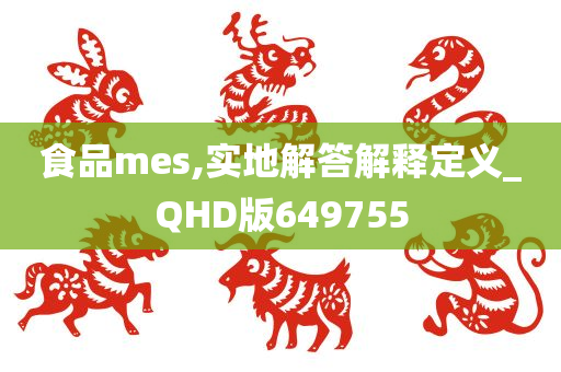 食品mes,实地解答解释定义_QHD版649755