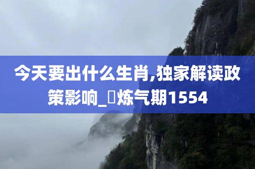 今天要出什么生肖,独家解读政策影响_‌炼气期1554