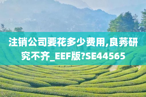 注销公司要花多少费用,良莠研究不齐_EEF版?SE44565