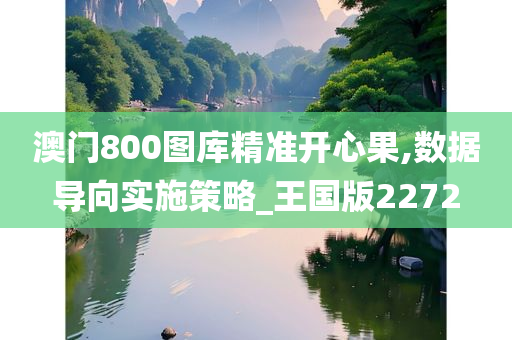 澳门800图库精准开心果,数据导向实施策略_王国版2272