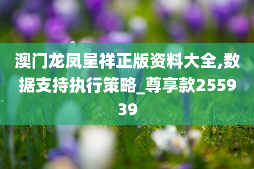 澳门龙凤呈祥正版资料大全,数据支持执行策略_尊享款255939