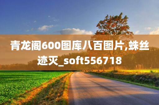 青龙阁600图库八百图片,蛛丝迹灭_soft556718