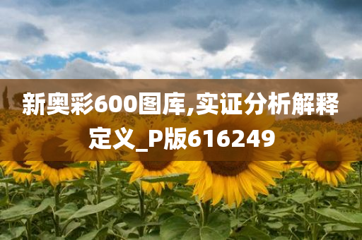 新奥彩600图库,实证分析解释定义_P版616249