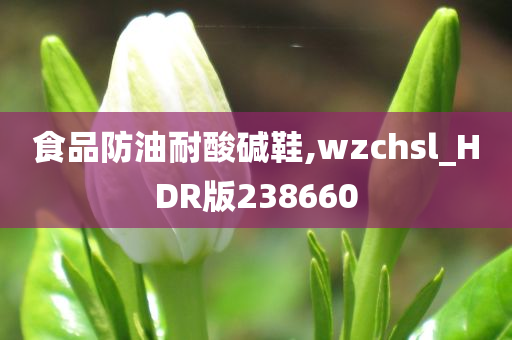 食品防油耐酸碱鞋,wzchsl_HDR版238660