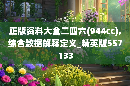 正版资料大全二四六(944cc),综合数据解释定义_精英版557133