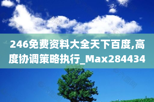 246免费资料大全天下百度,高度协调策略执行_Max284434