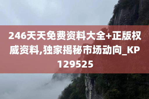 246天天免费资料大全+正版权威资料,独家揭秘市场动向_KP129525