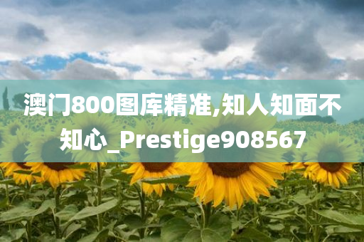 澳门800图库精准,知人知面不知心_Prestige908567