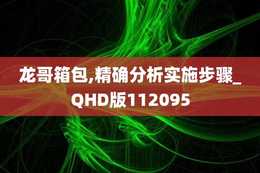 龙哥箱包,精确分析实施步骤_QHD版112095