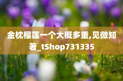 金枕榴莲一个大概多重,见微知著_tShop731335