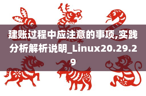 建账过程中应注意的事项,实践分析解析说明_Linux20.29.29