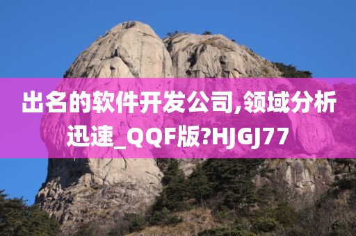 出名的软件开发公司,领域分析迅速_QQF版?HJGJ77