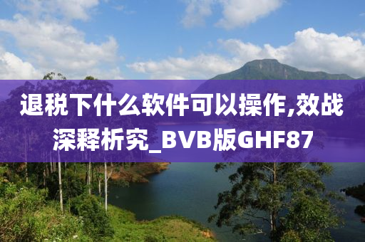 退税下什么软件可以操作,效战深释析究_BVB版GHF87