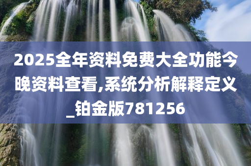 2025全年资料免费大全功能今晚资料查看,系统分析解释定义_铂金版781256