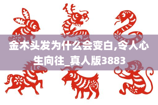 金木头发为什么会变白,令人心生向往_真人版3883