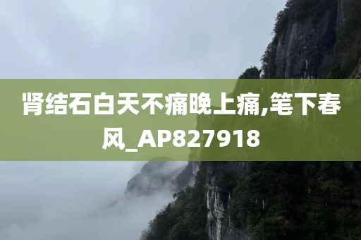 肾结石白天不痛晚上痛,笔下春风_AP827918