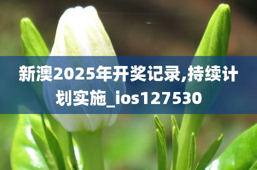 新澳2025年开奖记录,持续计划实施_ios127530