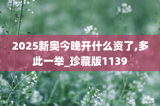 2025新奥今晚开什么资了,多此一举_珍藏版1139