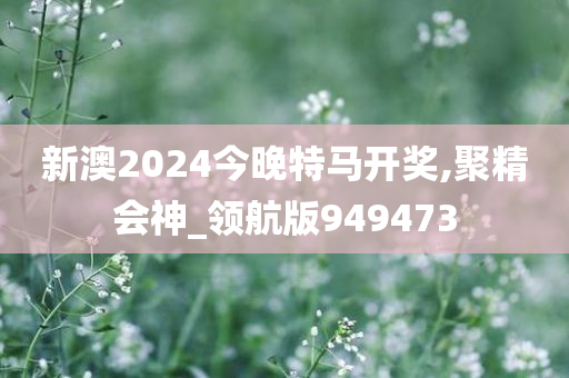 新澳2024今晚特马开奖,聚精会神_领航版949473