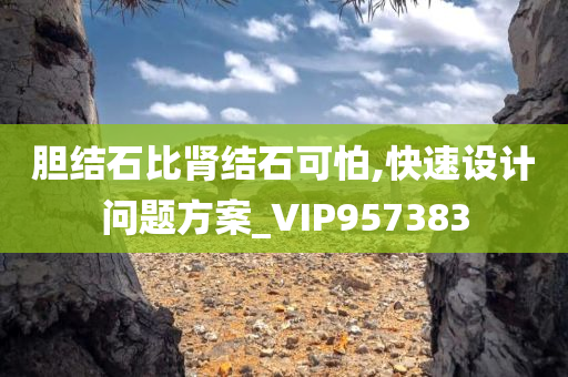 胆结石比肾结石可怕,快速设计问题方案_VIP957383