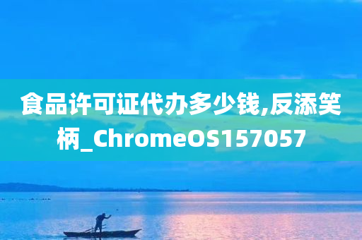 食品许可证代办多少钱,反添笑柄_ChromeOS157057