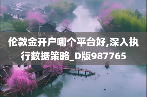 伦敦金开户哪个平台好,深入执行数据策略_D版987765