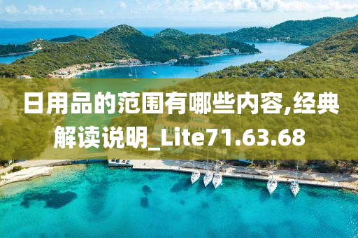 日用品的范围有哪些内容,经典解读说明_Lite71.63.68