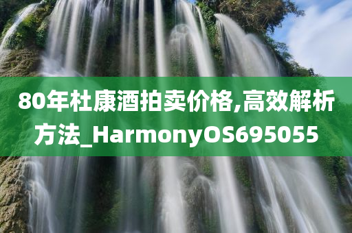 80年杜康酒拍卖价格,高效解析方法_HarmonyOS695055