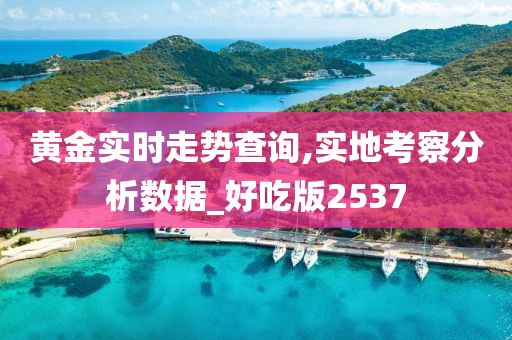 黄金实时走势查询,实地考察分析数据_好吃版2537