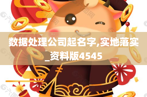 数据处理公司起名字,实地落实_资料版4545