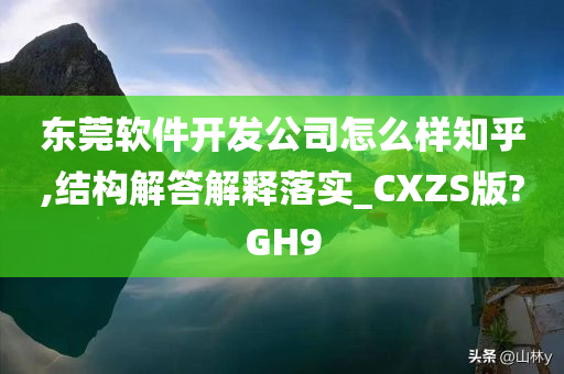 东莞软件开发公司怎么样知乎,结构解答解释落实_CXZS版?GH9