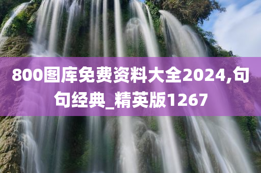 800图库免费资料大全2024,句句经典_精英版1267