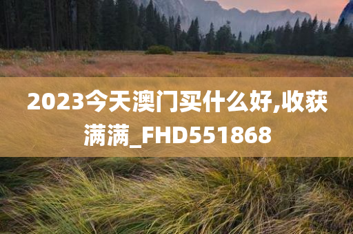 2023今天澳门买什么好,收获满满_FHD551868