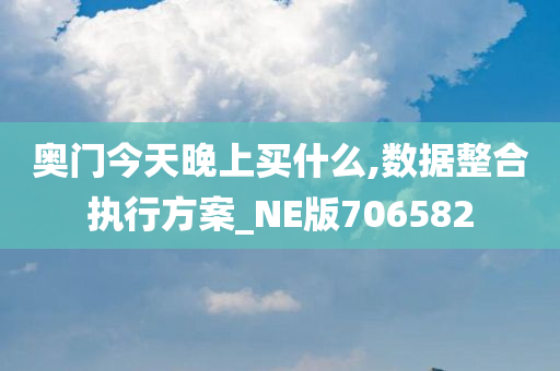 奥门今天晚上买什么,数据整合执行方案_NE版706582