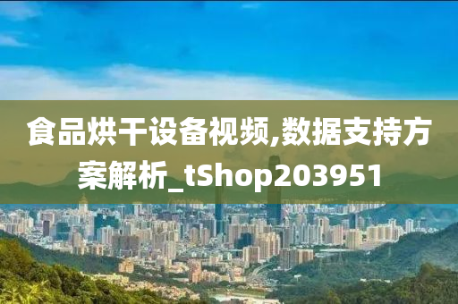 食品烘干设备视频,数据支持方案解析_tShop203951