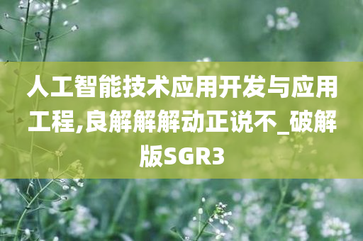 人工智能技术应用开发与应用工程,良解解解动正说不_破解版SGR3