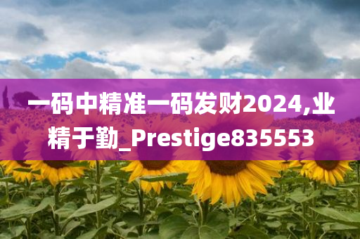 一码中精准一码发财2024,业精于勤_Prestige835553