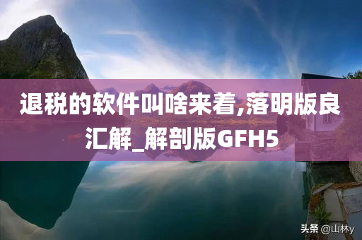 退税的软件叫啥来着,落明版良汇解_解剖版GFH5