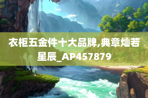 衣柜五金件十大品牌,典章灿若星辰_AP457879