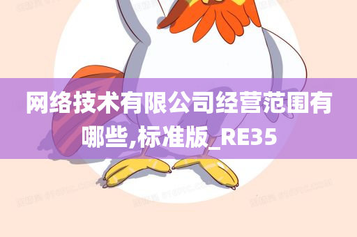 网络技术有限公司经营范围有哪些,标准版_RE35